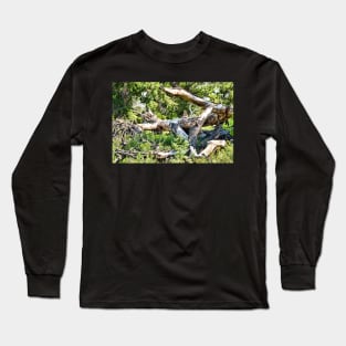 Deadwood on Cherry Creek Trail 1 Long Sleeve T-Shirt